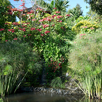 Photo de Bali - Autour de Munduk